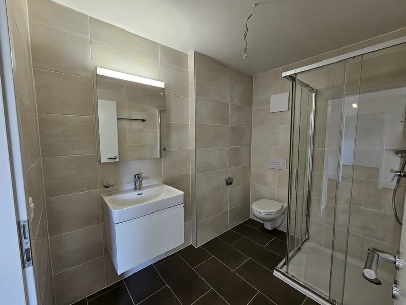 2 ½ Zimmer-Wohnung, 2300 La Chaux de Fonds (5)