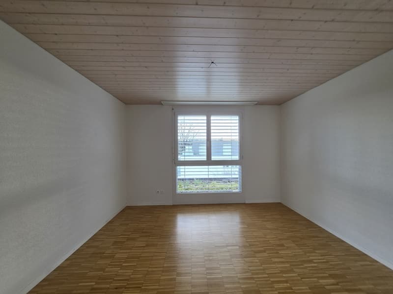 2 ½ Zimmer-Wohnung, 4900 Langenthal (6)