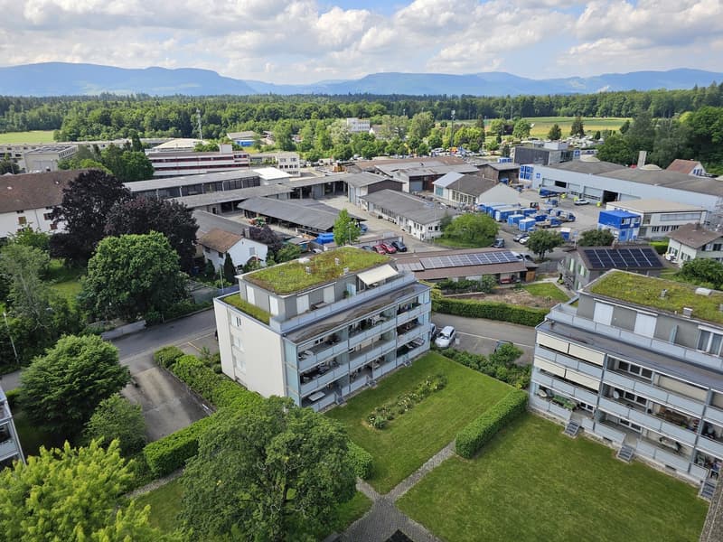 2 ½ Zimmer-Wohnung, 4900 Langenthal (1)