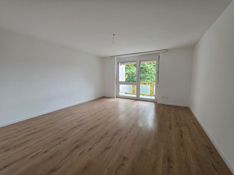 4 ½ Zimmer-Wohnung, 8200 Schaffhausen (1)