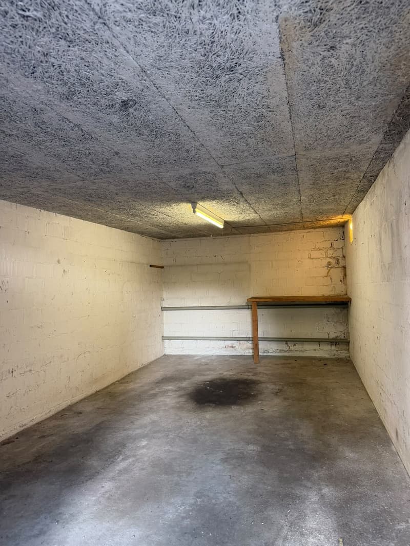 Gargagebox Olten (3)