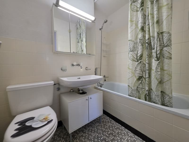 3 Zimmer-Wohnung, 5314 Kleindöttingen (4)