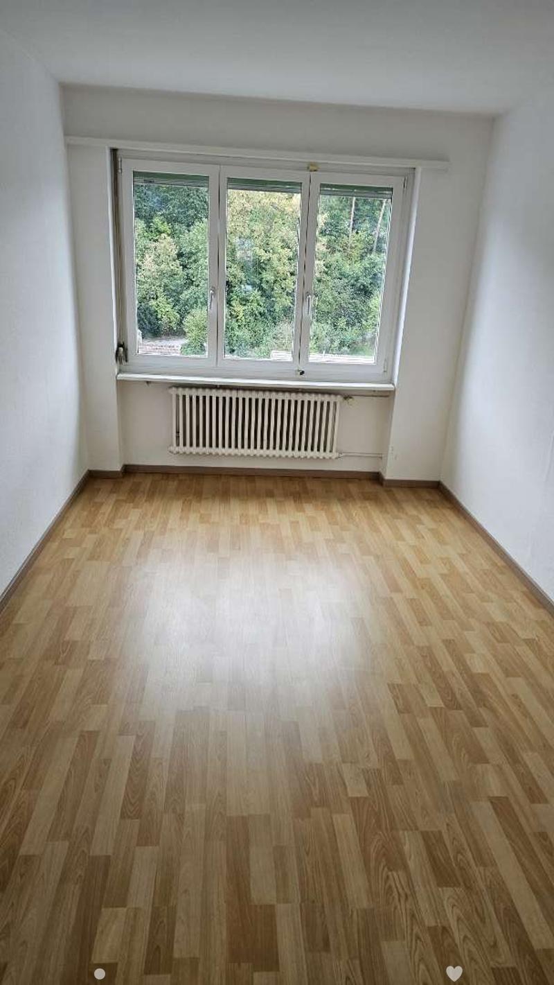 Angheneme 3.5 Zimmer Wohnung (3)