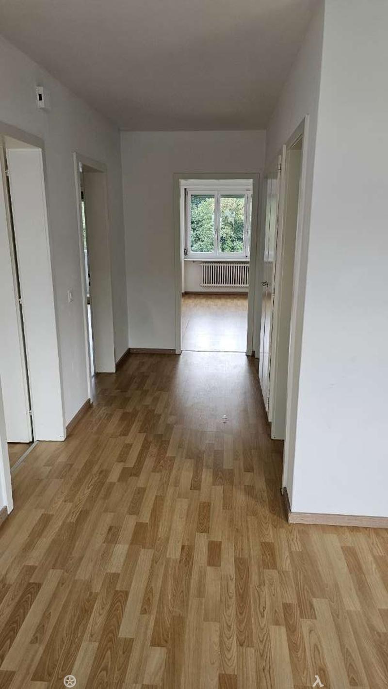 Angheneme 3.5 Zimmer Wohnung (6)