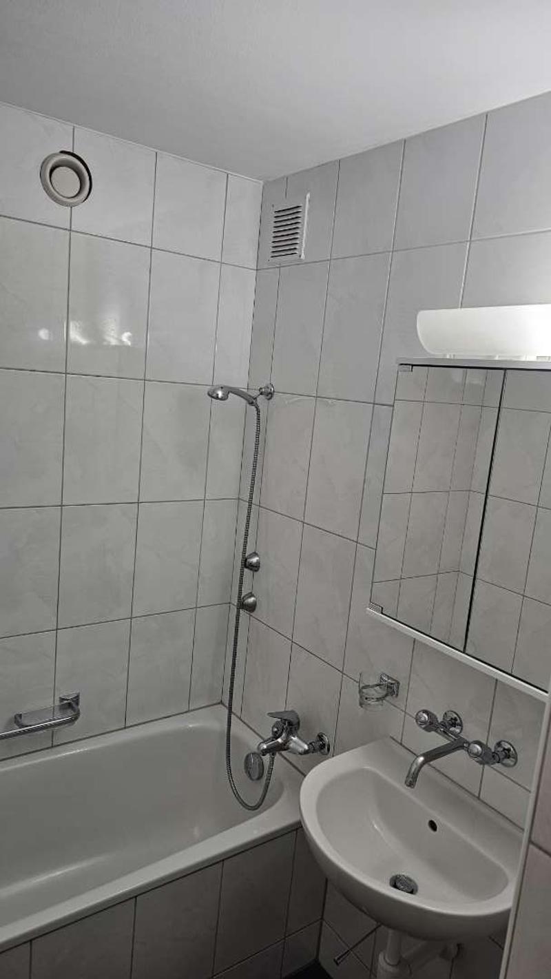 Angheneme 3.5 Zimmer Wohnung (8)