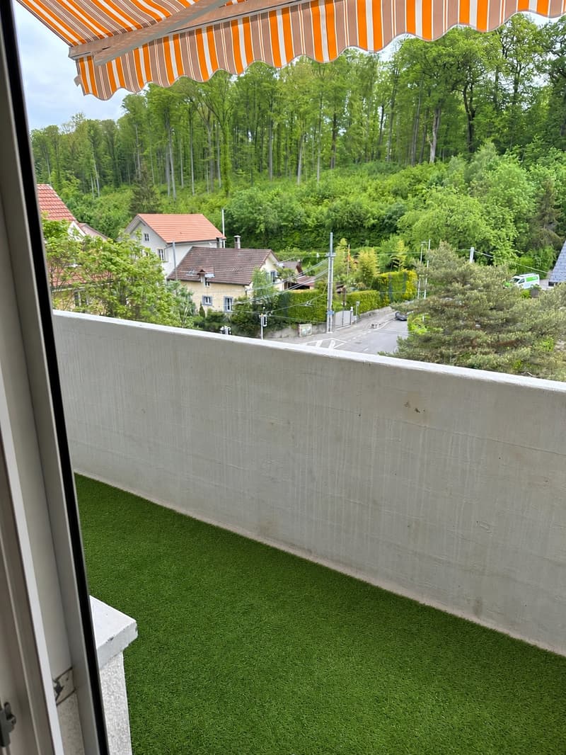 Angenehme 3.5 Zimmerwohnung! (5)
