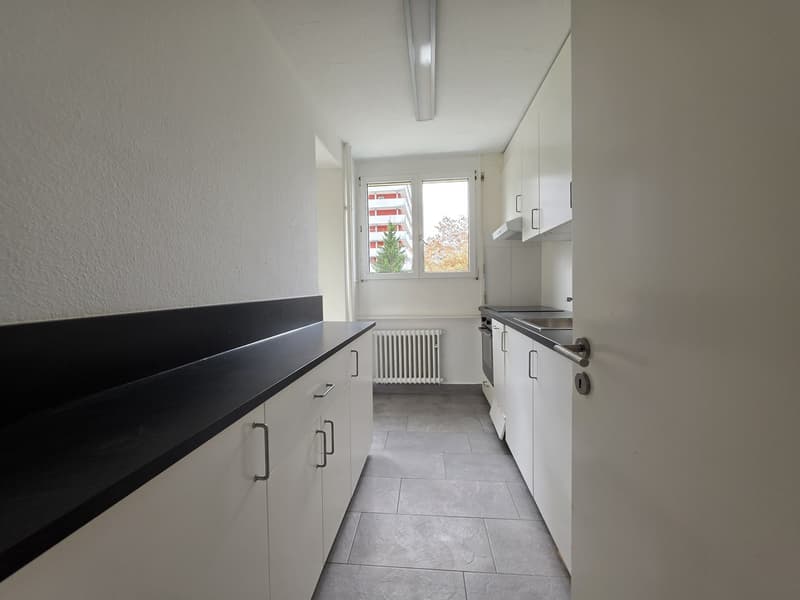 3 ½ Zimmer-Wohnung, 4600 Olten (3)