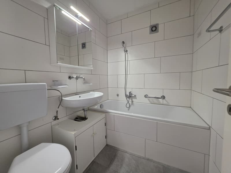 3 ½ Zimmer-Wohnung, 4600 Olten (7)