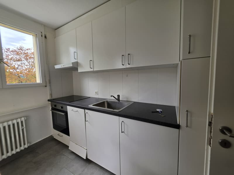 3 ½ Zimmer-Wohnung, 4600 Olten (4)