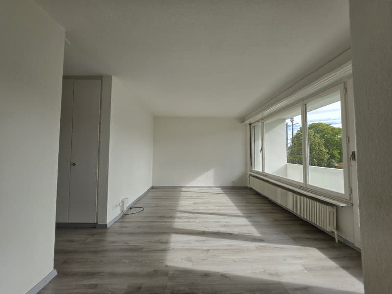 4 ½ Zimmer-Wohnung, 4500 Solothurm (1)