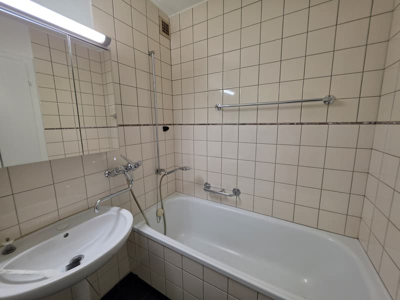 4 ½ Zimmer-Wohnung, 3400 Burgdorf (9)