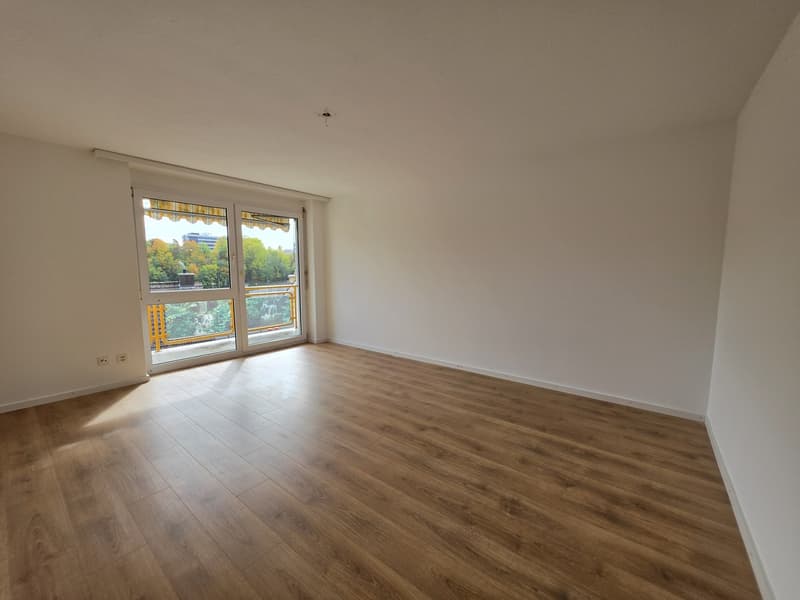3 Zimmer-Wohnung, 8200 Schaffhausen (2)