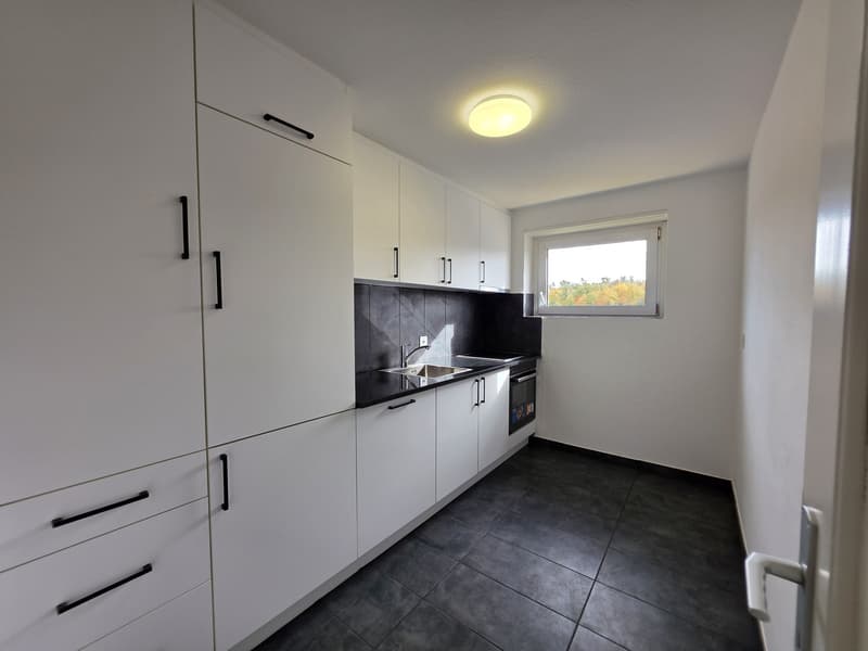3 Zimmer-Wohnung, 8200 Schaffhausen (5)