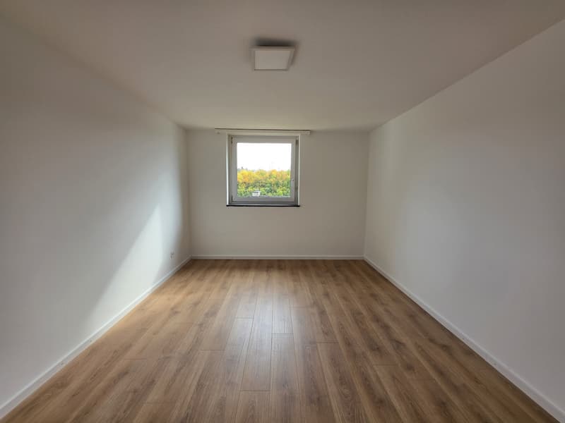 3 Zimmer-Wohnung, 8200 Schaffhausen (3)