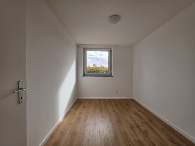 3 Zimmer-Wohnung, 8200 Schaffhausen (4)