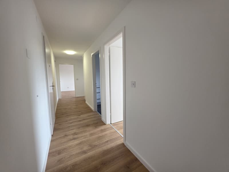 3 Zimmer-Wohnung, 8200 Schaffhausen (7)
