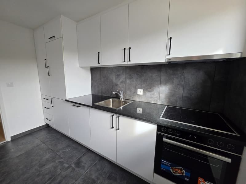 3 Zimmer-Wohnung, 8200 Schaffhausen (6)