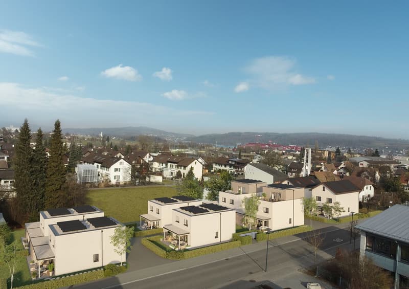 Modern houses with solar panels, balconies, and green spaces