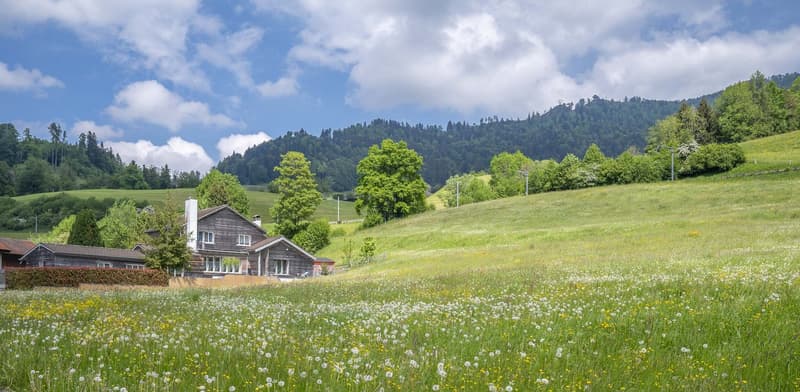 Exklusives Landhausidyll mit 3’874 m² Land, grossem Naturteich und Alpenblick (2)