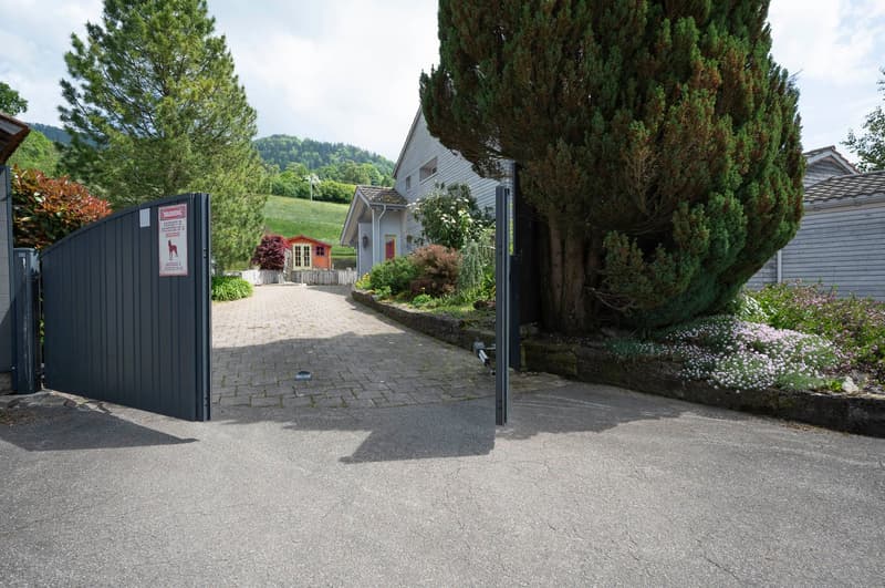 Exklusives Landhausidyll mit 3’874 m² Land, grossem Naturteich und Alpenblick (5)