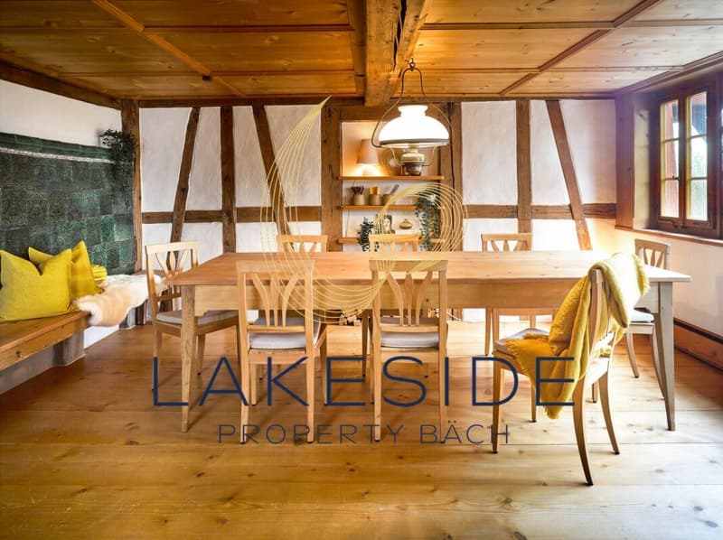 Sehr schöne 6 1/2 Zi-Wohnung im Riegelhaus zur Miete (3)