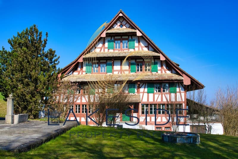 Sehr schöne 6 1/2 Zi-Wohnung im Riegelhaus zur Miete (11)