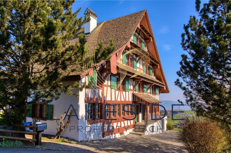 Sehr schöne 6 1/2 Zi-Wohnung im Riegelhaus zur Miete (1)