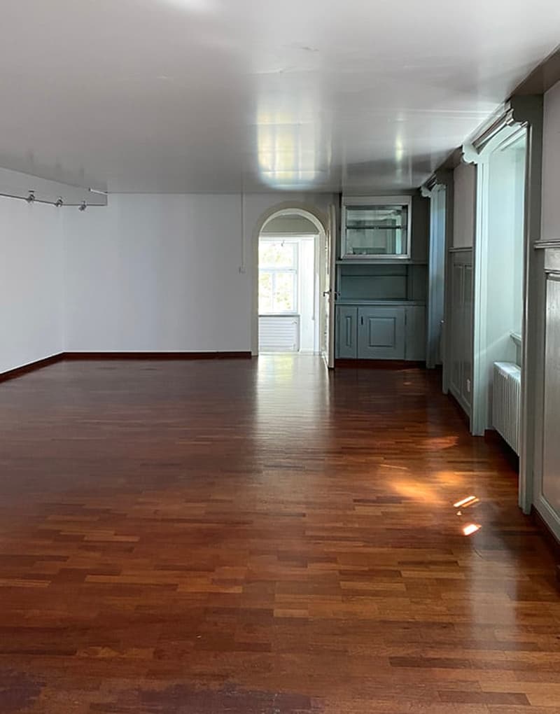 2 1/2 Zimmer Wohnung 108 m2 mit grosser Terrasse (9)