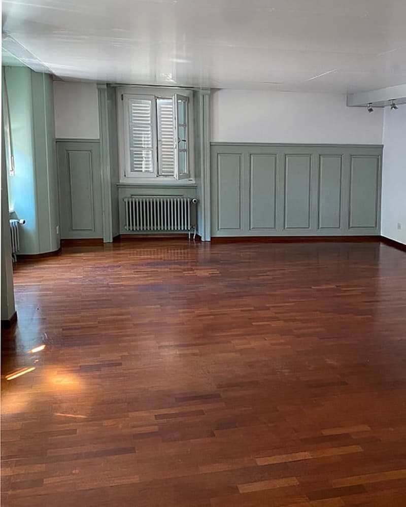 2 1/2 Zimmer Wohnung 108 m2 mit grosser Terrasse (10)