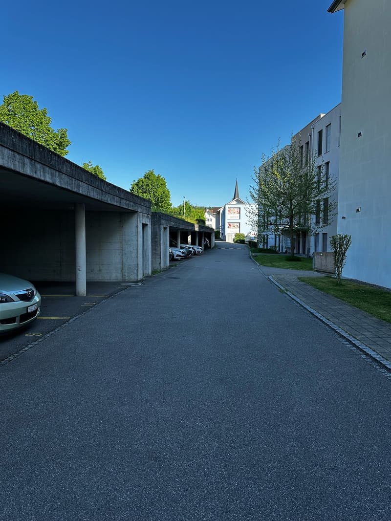 Carport Dottikon (2)