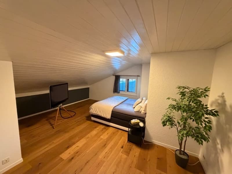 Bedroom: wooden floor, single bed, window, television, nightstand, potted plant, power outlet