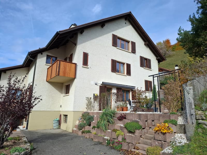 two story house, white wall, brown roof, balcony, stone wall foundation, parking place, plants