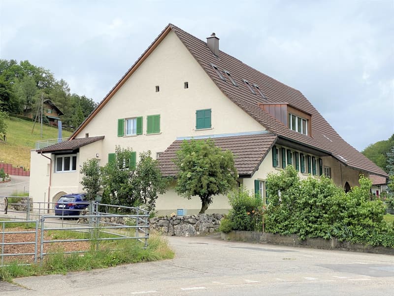 Schöne Altbauwohnung in Nunningen (1)