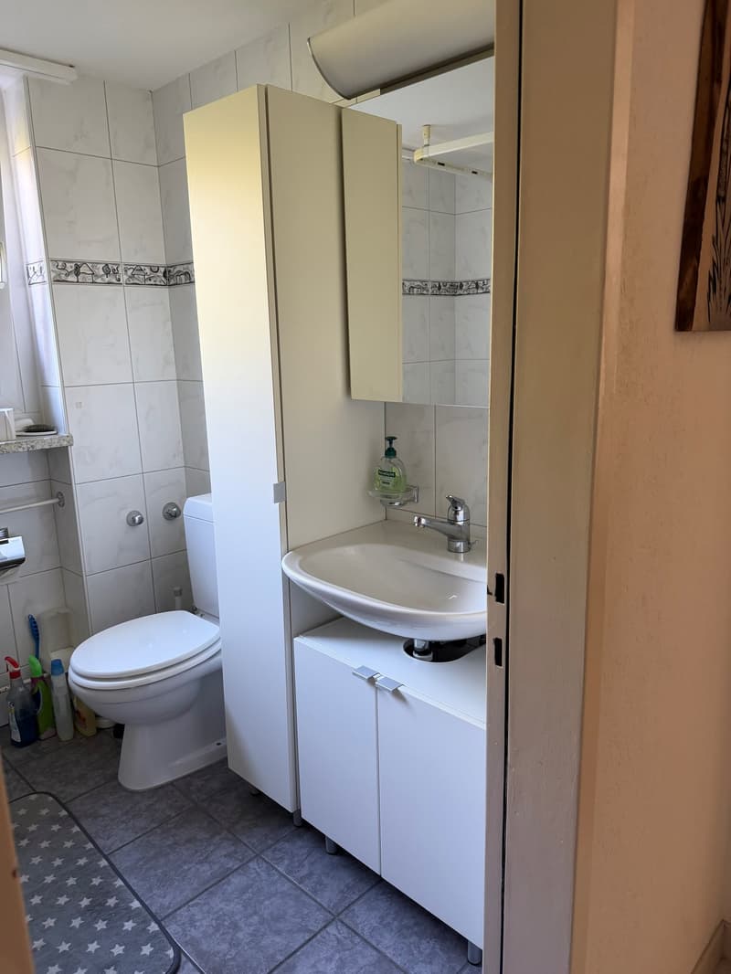 Helle und gemütliche 3.5-Zimmer-Wohnung in Breitenbach (5)