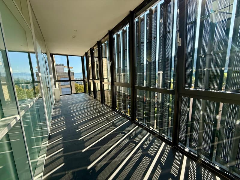 Grosszügige Gewerbe-/Bürofläche an zentraler Lage in Pfäffikon SZ (10)