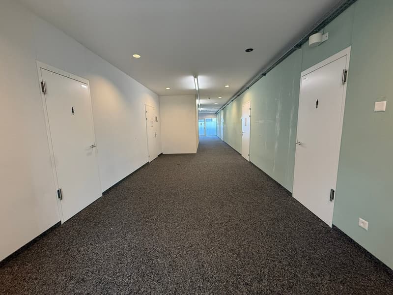 Grosszügige Gewerbe-/Bürofläche an zentraler Lage in Pfäffikon SZ (2)