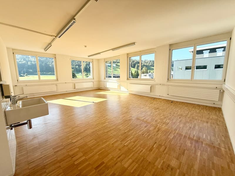 Grosszügige Gewerbe-/Bürofläche an zentraler Lage in Pfäffikon SZ (3)