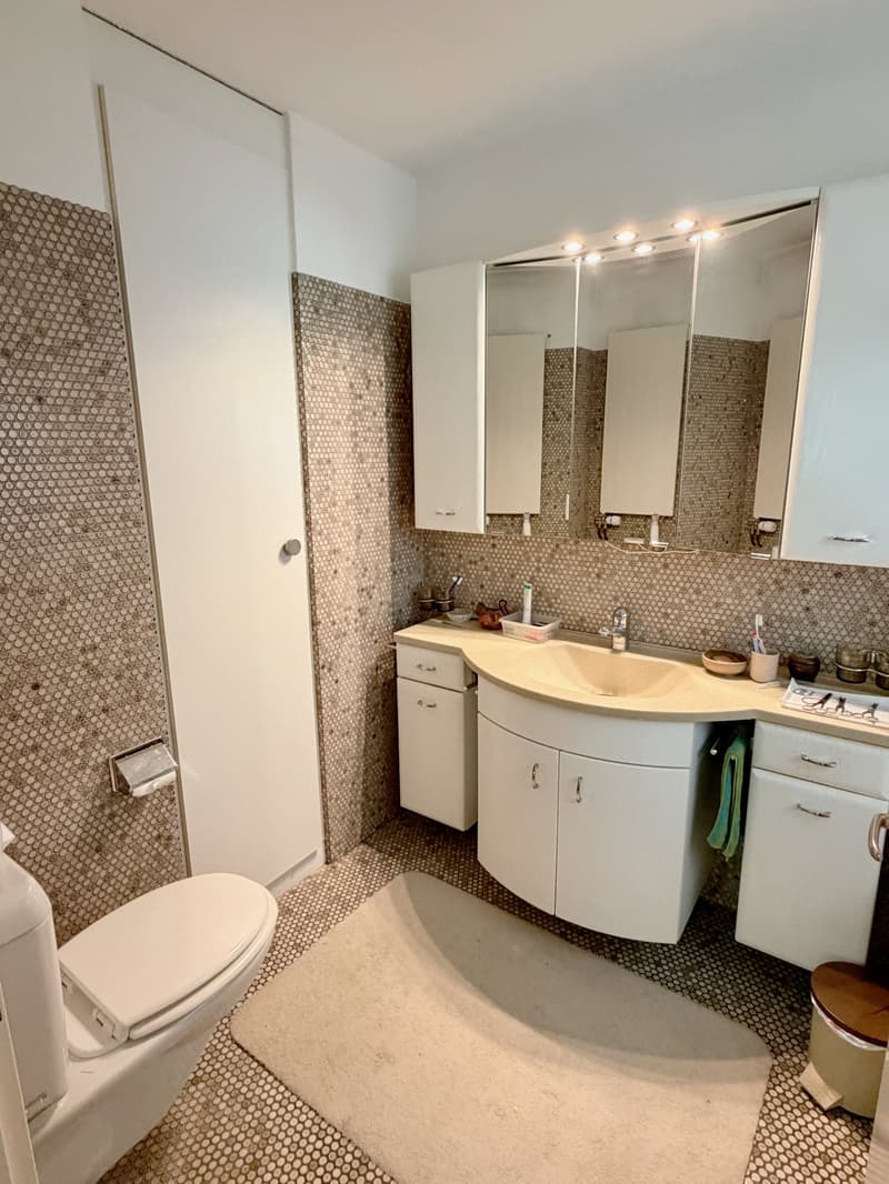 4.5-Zimmerwohnung mit grossem Balkon an idyllischer Lage (5)