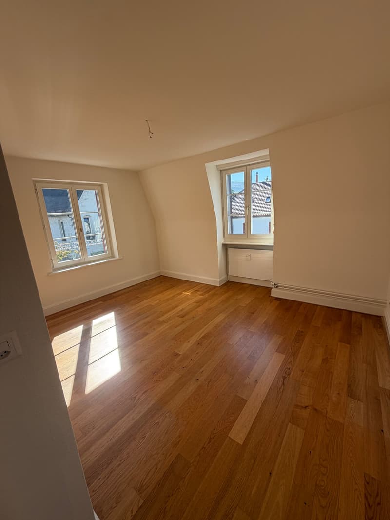 Charmante 3-Zimmer-Altbauwohnung in ruhiger Lage von Dornach (4)