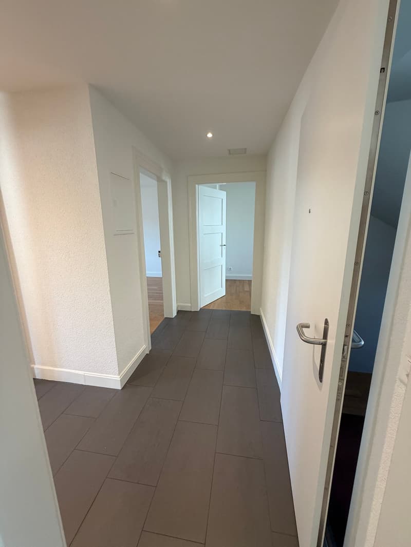 Charmante 3-Zimmer-Altbauwohnung in ruhiger Lage von Dornach (3)