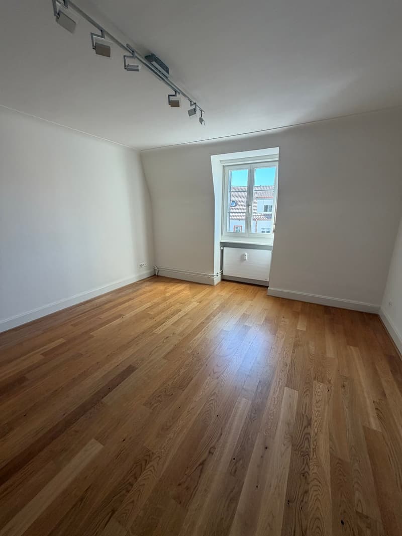 Charmante 3-Zimmer-Altbauwohnung in ruhiger Lage von Dornach (7)