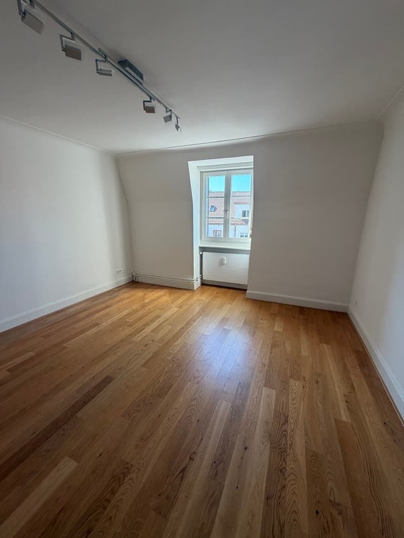Charmante 3-Zimmer-Altbauwohnung in ruhiger Lage von Dornach (8)