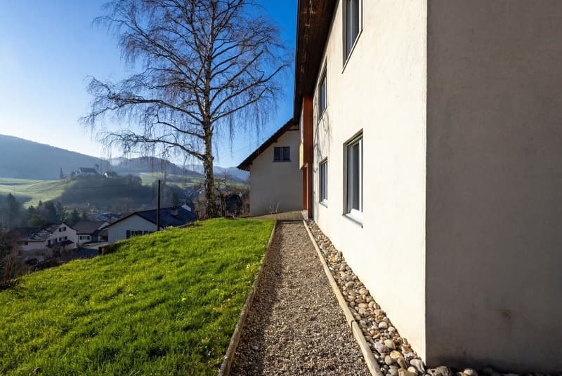 Freistehendes Einfamilienhaus mit viel Gartenumschwung in Ziefen! (6)