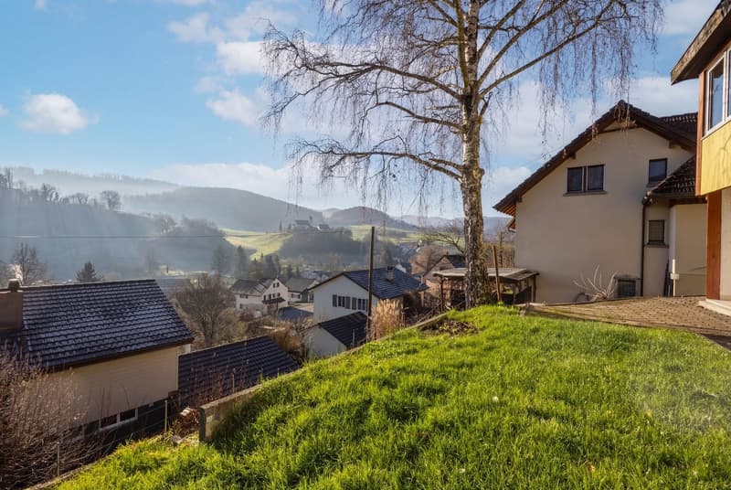 Freistehendes Einfamilienhaus mit viel Gartenumschwung in Ziefen! (5)