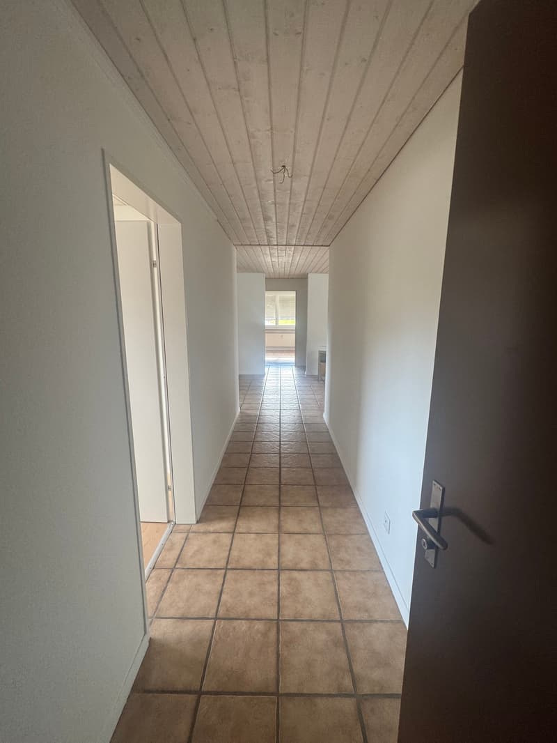 Appartement de 4 pièces rénové au cœur de Diegten! (5)