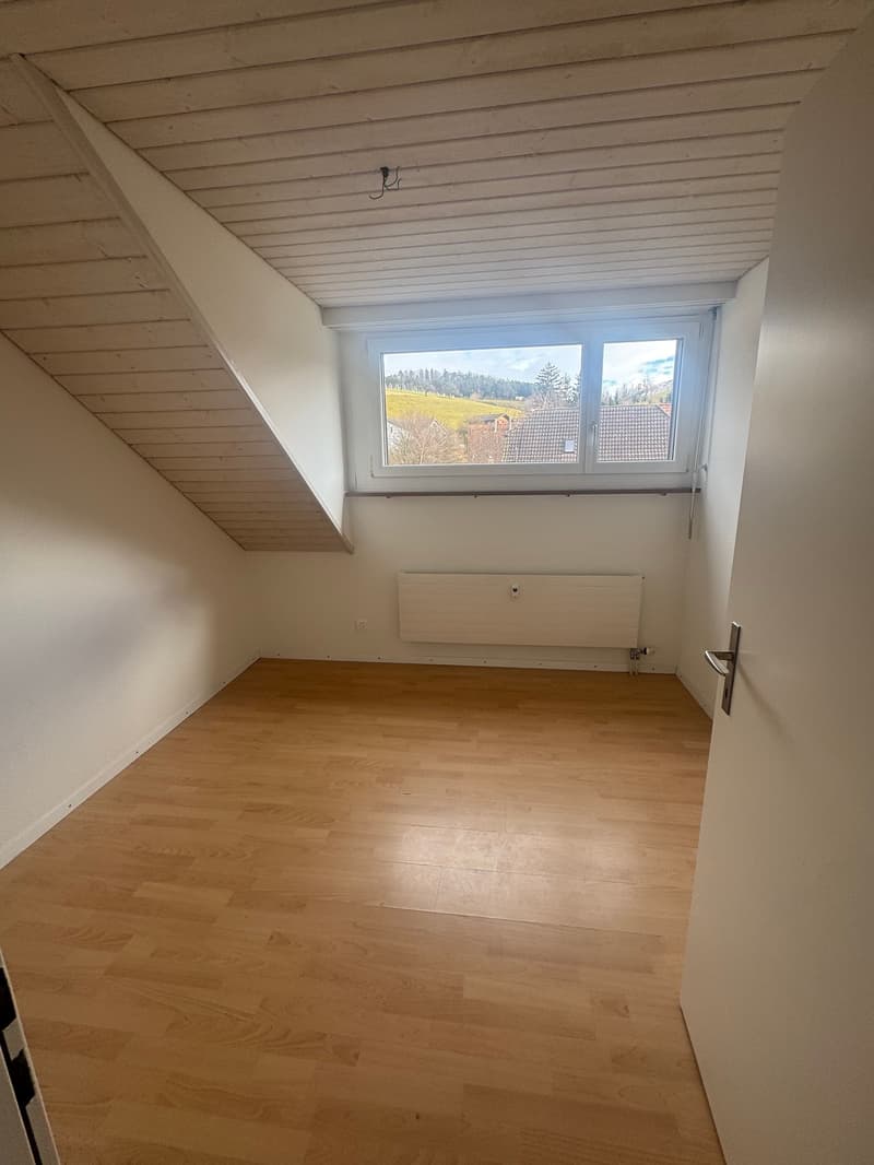 Appartement de 4 pièces rénové au cœur de Diegten! (6)