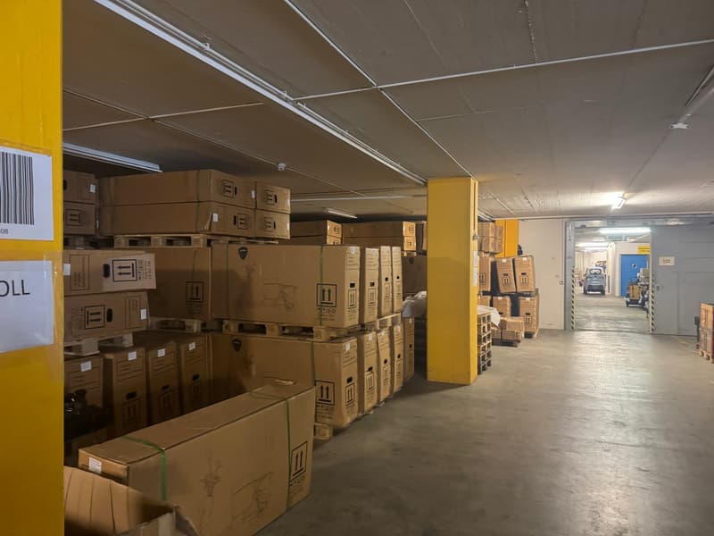 Warehouse with multiple storage boxes on pallets and forklift trucks