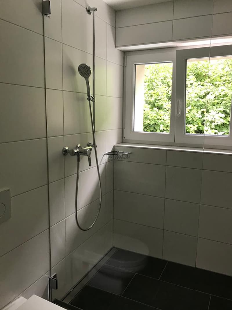Appartamento mansardato 2 camere disponibile immediatamente (10)