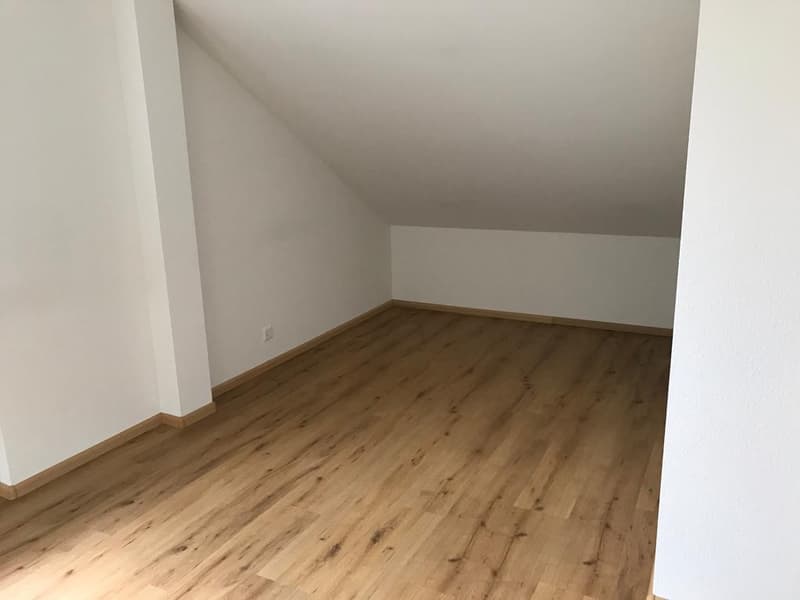 Appartamento mansardato 2 camere disponibile immediatamente (5)