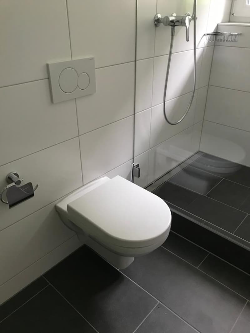 Appartamento mansardato 2 camere disponibile immediatamente (9)